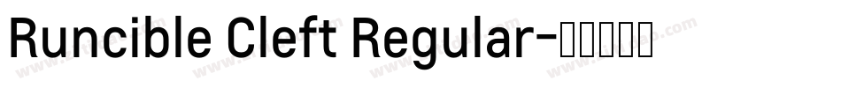 Runcible Cleft Regular字体转换